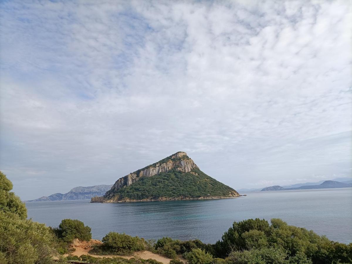 Vgm Room Olbia Zewnętrze zdjęcie