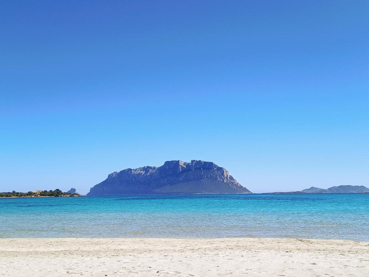 Vgm Room Olbia Zewnętrze zdjęcie